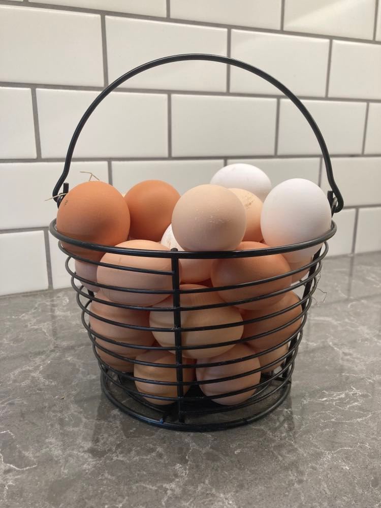 Basket of eggs from pasture raised laying hens